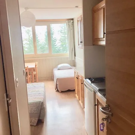 Resid Bec De L Aigle 21 - Le Lioran アパート *