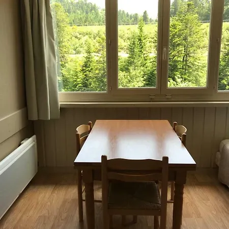Resid Bec De L Aigle 21 - Le Lioran Daire Laveissière