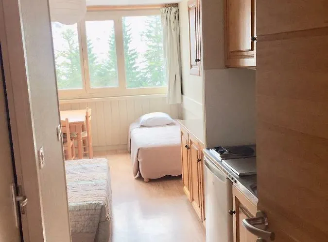 Resid Bec De L Aigle 21 - Le Lioran Apartment *